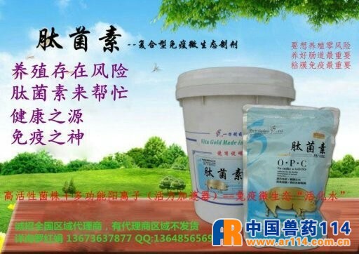 肽菌素
