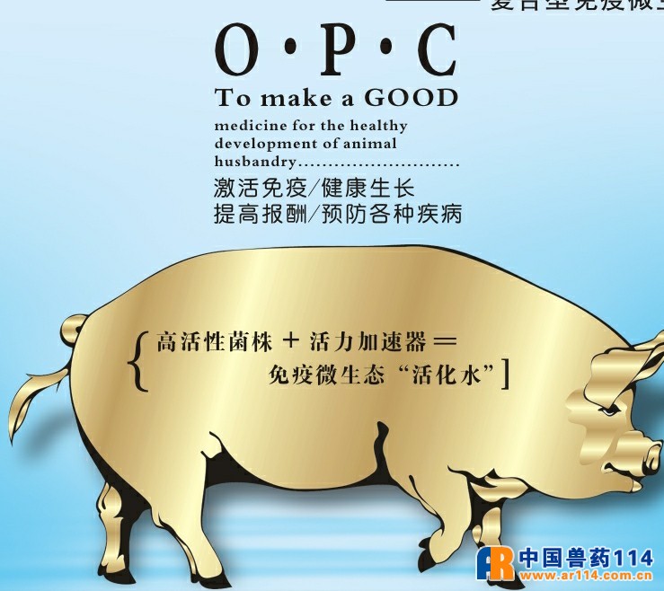 肥立美彩页放大4