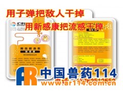 鸡禽流感症状诊断治疗方案:新感康