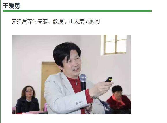 王爱勇