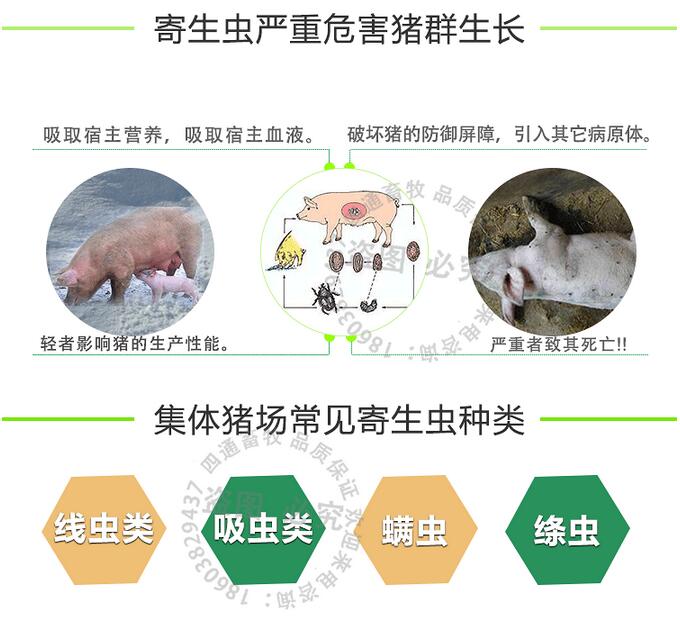 阿苯达唑伊维菌素