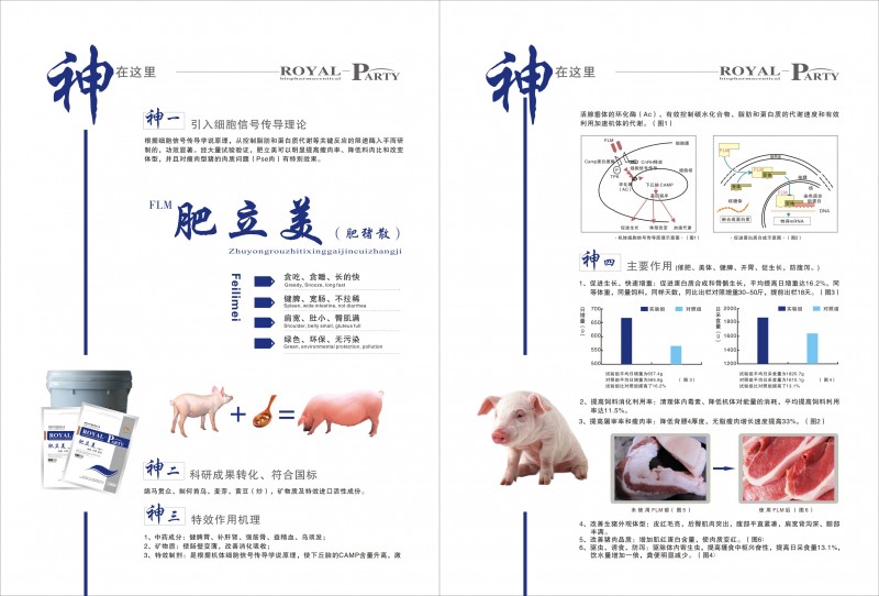 肥立美宣传页2