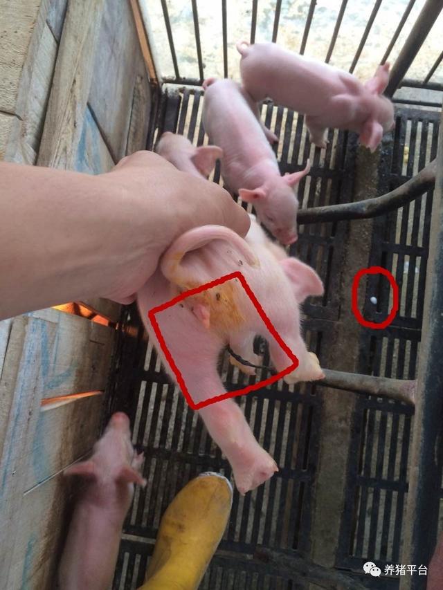 微信图片_20170725091549